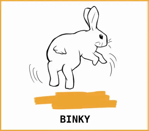 binky-bunny